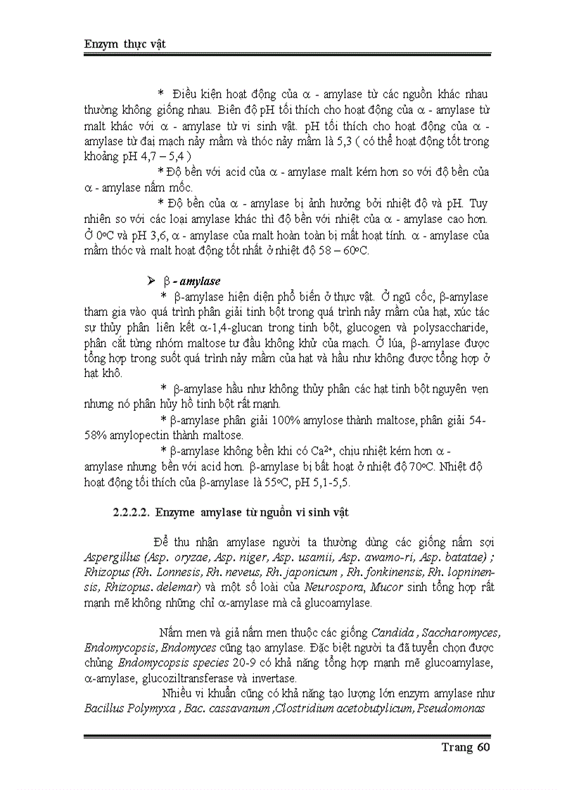 image for page Enzyme từ thực vật