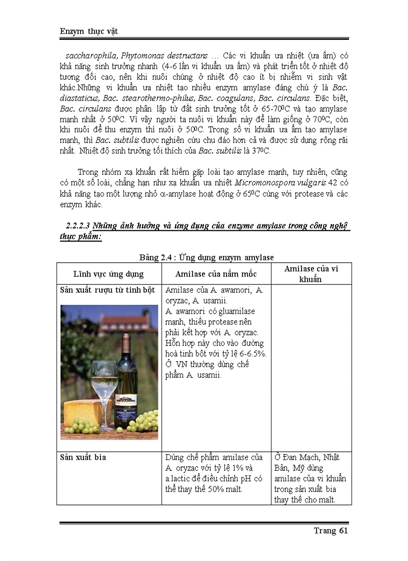 image for page Enzyme từ thực vật