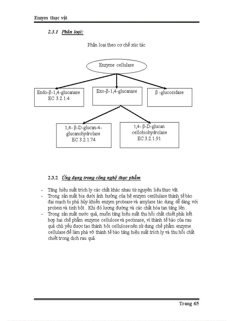 image for page Enzyme từ thực vật