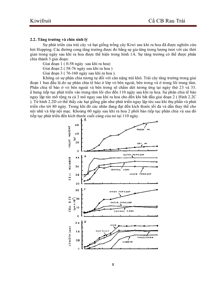 image for page Tìm hiểu về trái Kiwi Kiwifruit và ứng dụng trong sản xuất thực phẩm