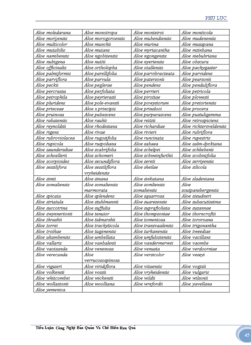 image for page Tìm hiểu về cây nha đam và ứng dụng trong sản xuất thực phẩm