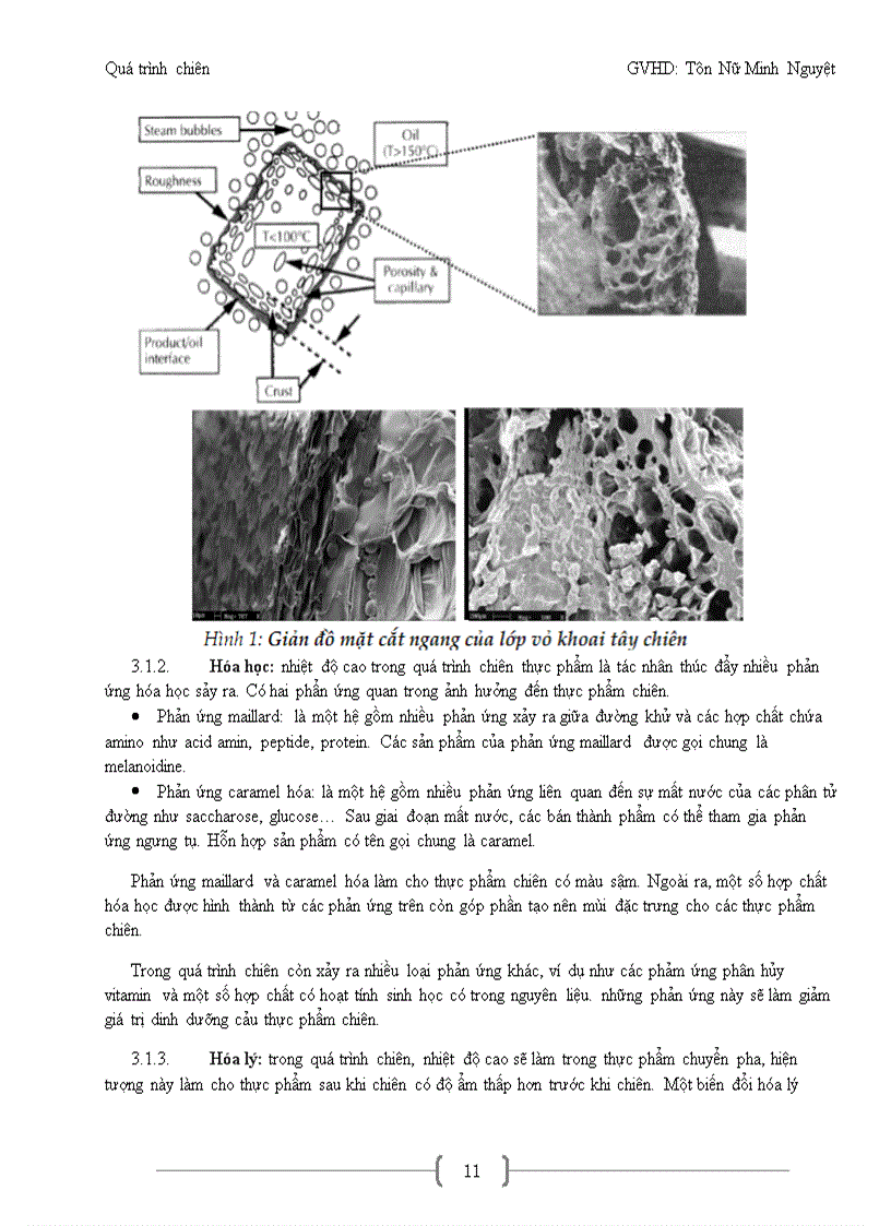 image for page Quá trình chiên và ứng dụng trong sản xuất các sản phẩm rau trái qua chiên