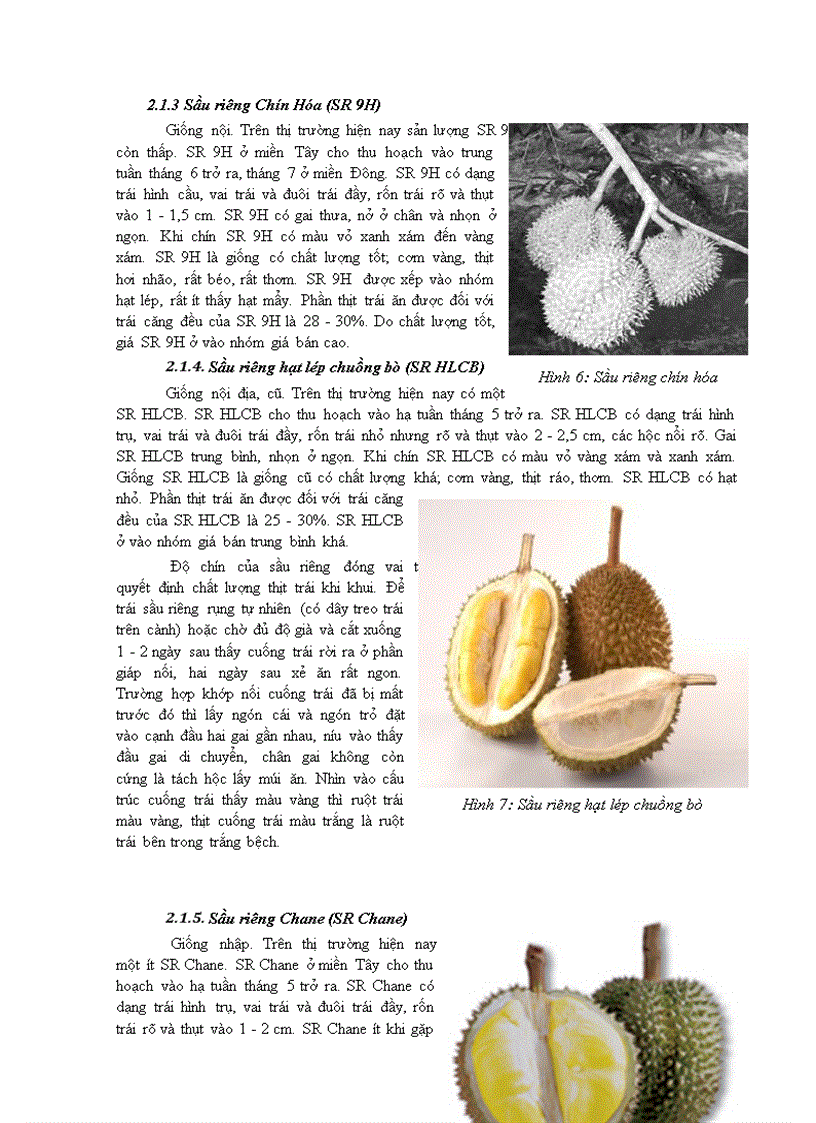 image for page Sầu riêng và ứng dụng trong sản xuất thực phẩm