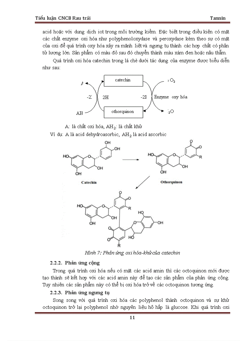 image for page Tổng quan về tannin và công nghệ sản xuất