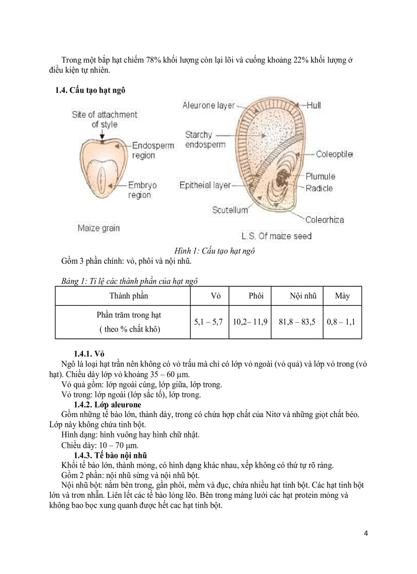 image for page Tinh bột bắp Công nghệ sản xuất và ứng dụng