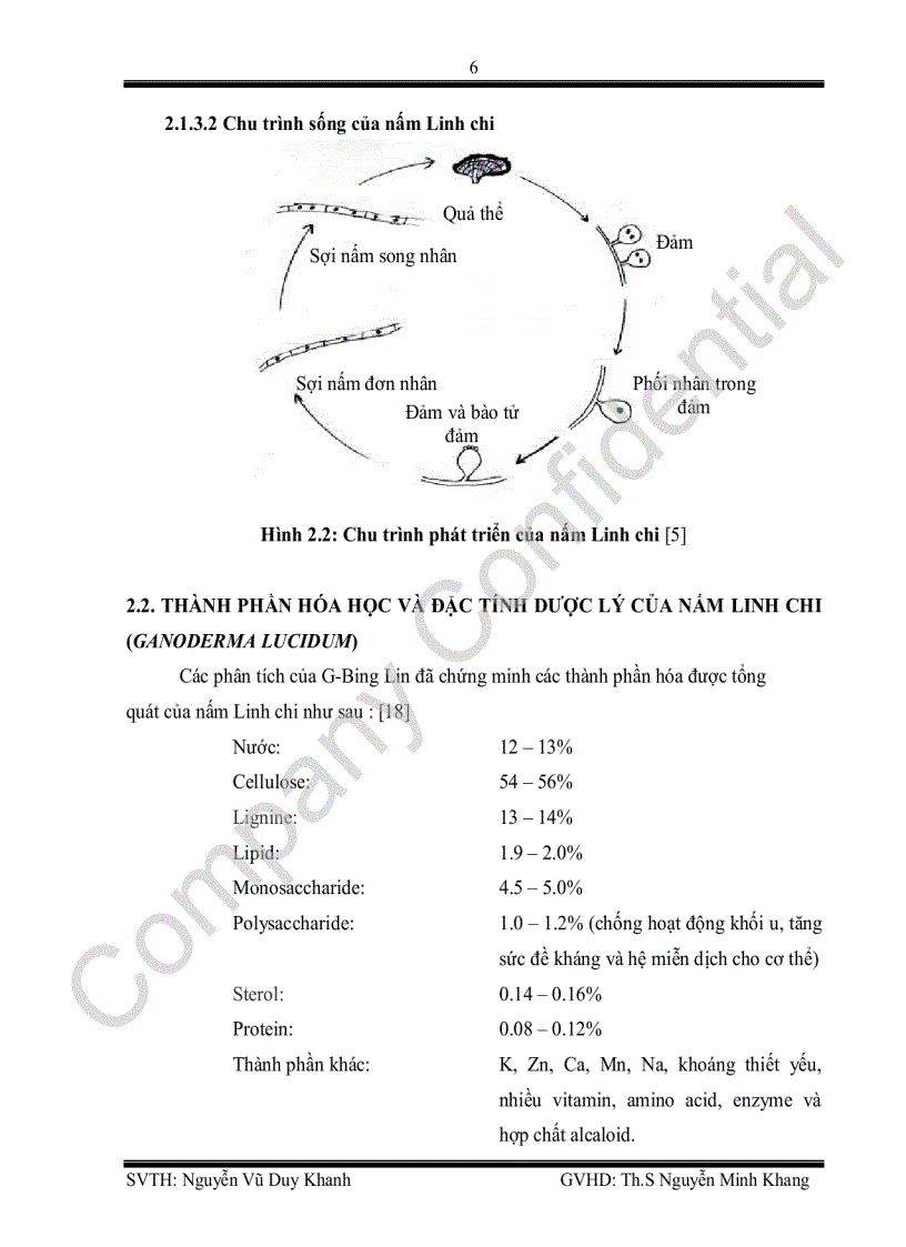image for page Xây dựng quy trình sản xuất sinh khối sợi nấm Ganoderma lucidum