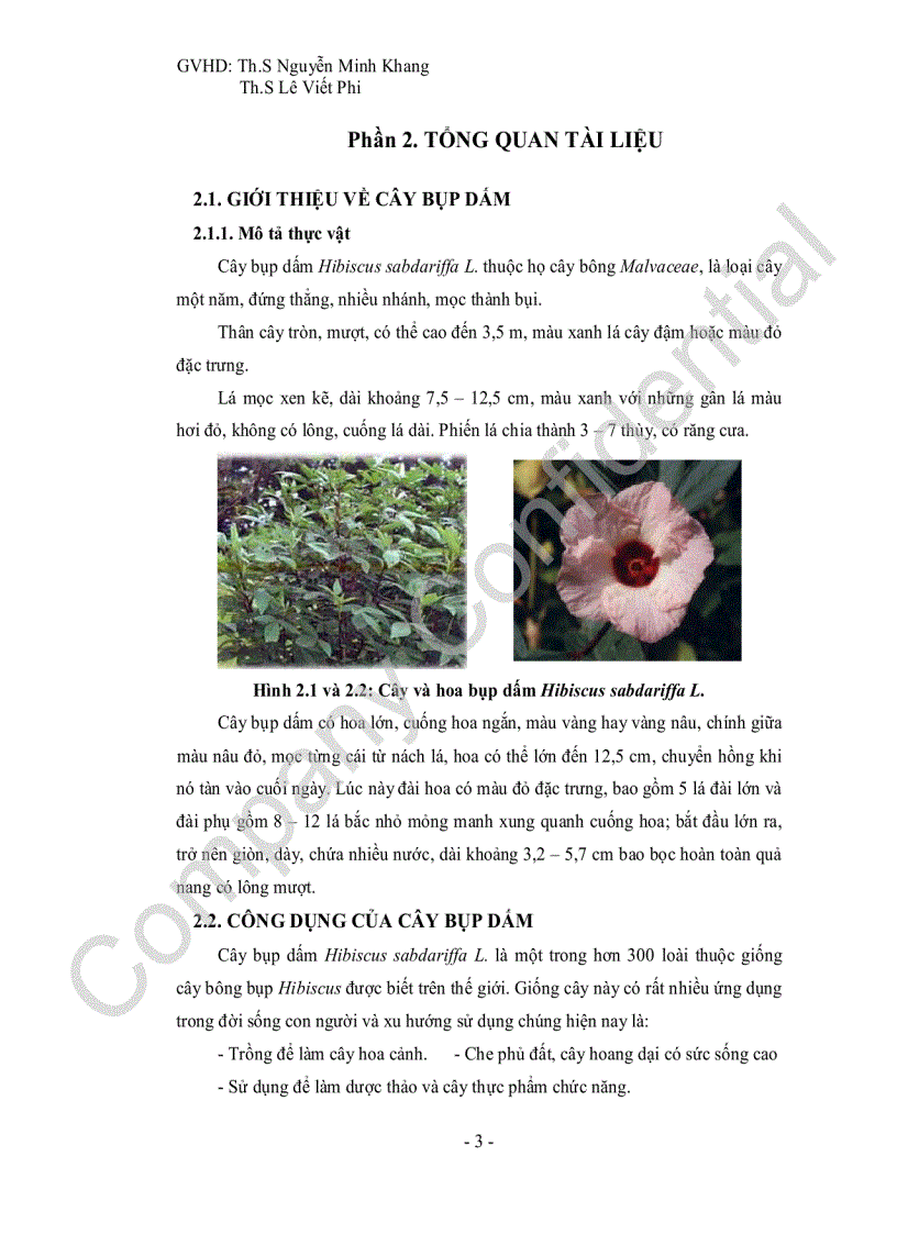 Nghiên cứu và ứng dụng chế biến nước giải khát lên men của đài hoa cây bụp dấm Hibiscus sabdariffa L