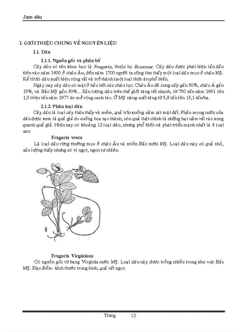 image for page Sản xuất mứt đông từ dâu Jam dâu