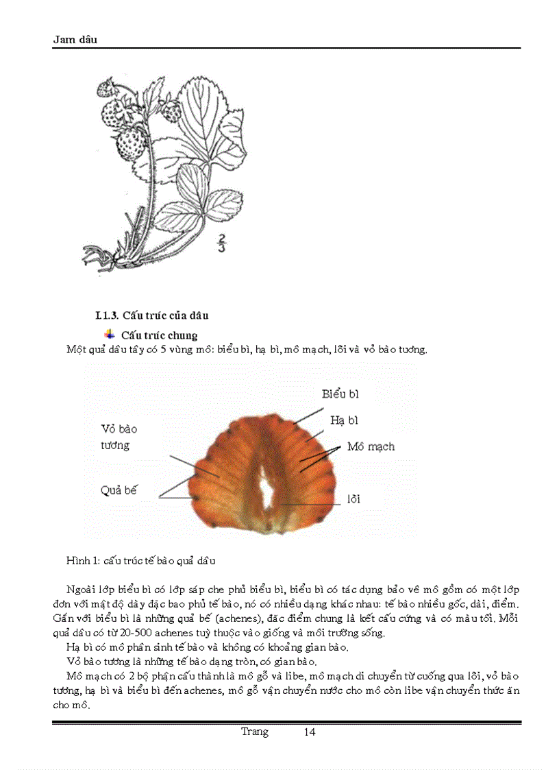 image for page Sản xuất mứt đông từ dâu Jam dâu