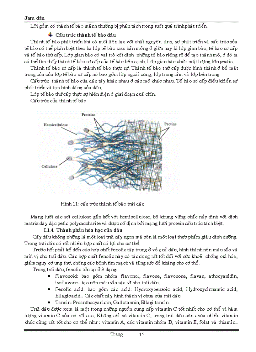 image for page Sản xuất mứt đông từ dâu Jam dâu