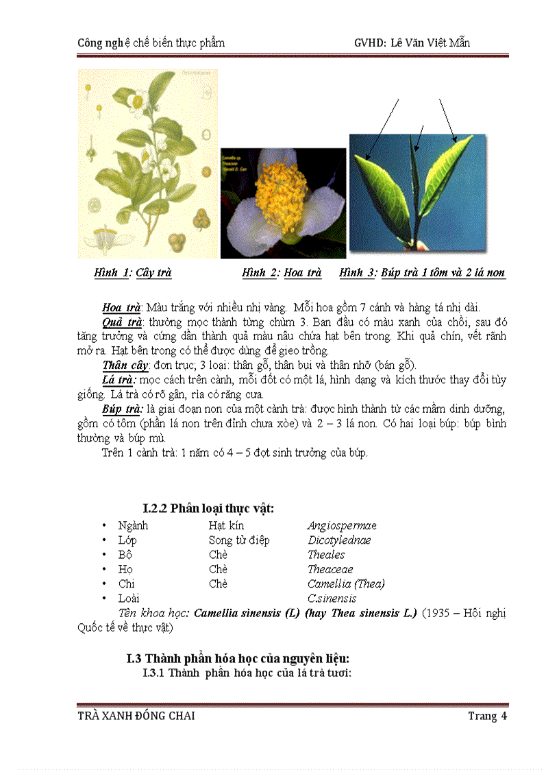 image for page Công nghệ sản xuất trà xanh kèm bản CAD chi tiết dây chuyền