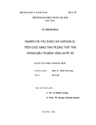 Nghiên cứu tác dụng của carvedilol trên Chức năng tâm trương thất trái trong điều trị Bệnh tăng huyết áp