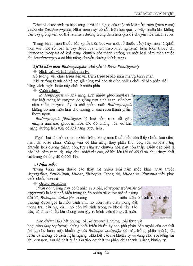 image for page Lên men cơm rượu