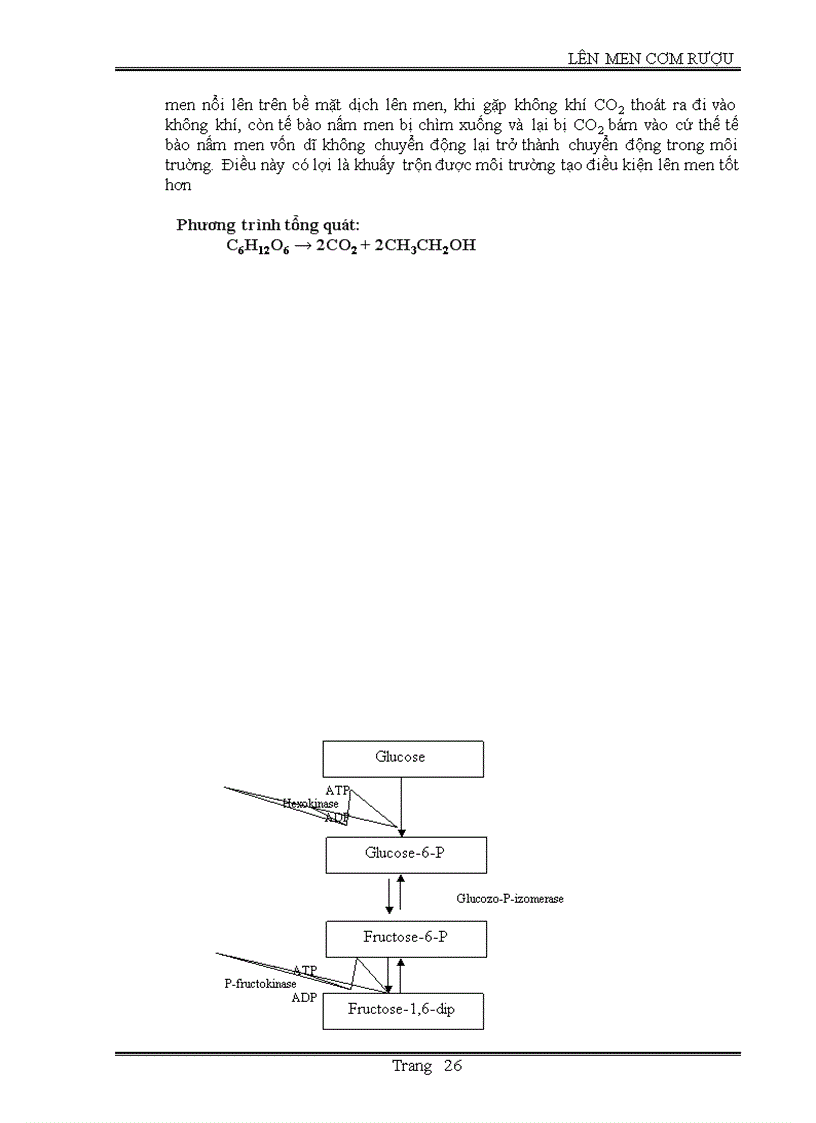 image for page Lên men cơm rượu
