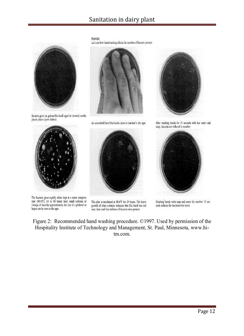 image for page Sanitation in dairy plant Vệ sinh trong chế biến sữa Đồ án tiếng Anh