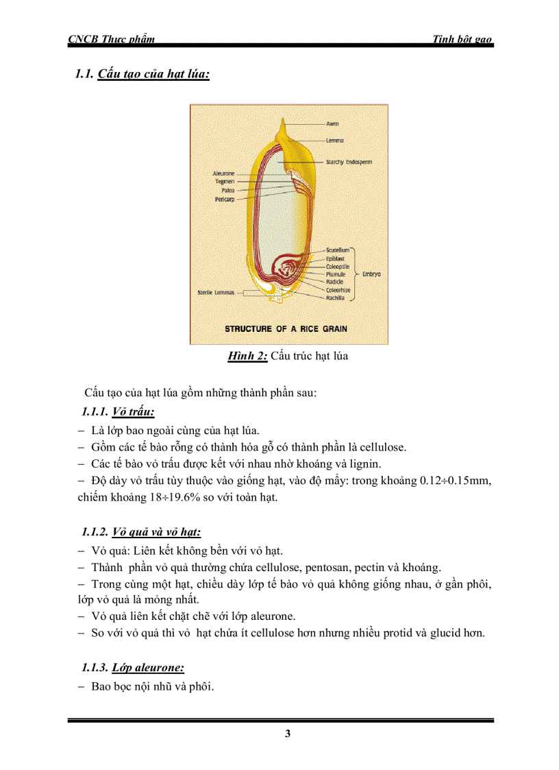 image for page Sản xuất tinh bột gạo