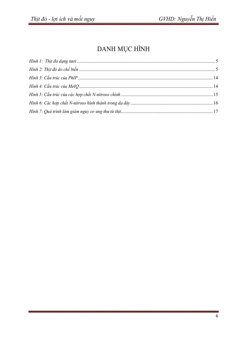 image for page Tìm hiểu về thịt đỏ lợi ích và mối nguy