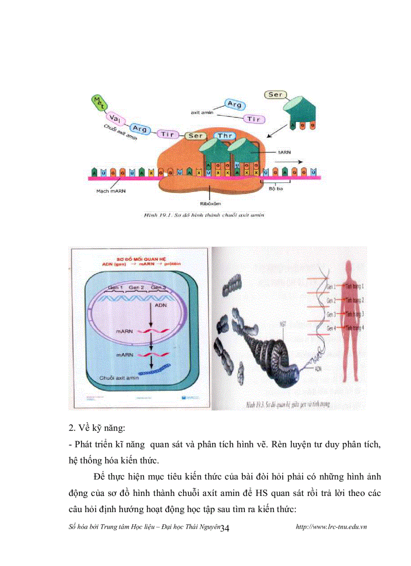 image for page Thiết kế và sử dụng mô hình động học Sinh lý học Thực vật Sinh học 11 bằng phần mềm MS Power Point