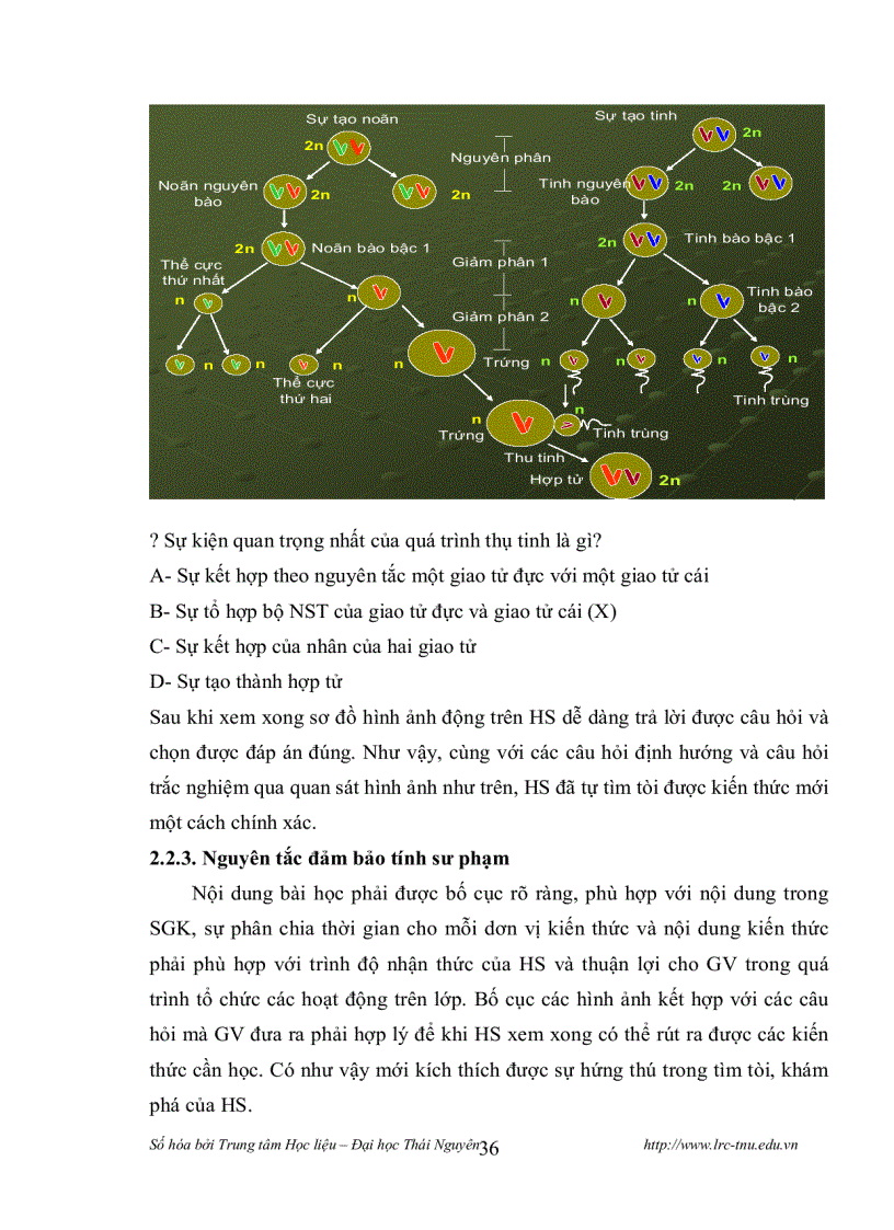 image for page Thiết kế và sử dụng mô hình động học Sinh lý học Thực vật Sinh học 11 bằng phần mềm MS Power Point