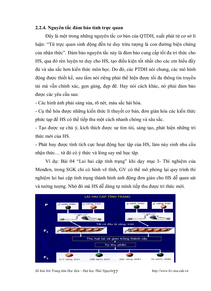 image for page Thiết kế và sử dụng mô hình động học Sinh lý học Thực vật Sinh học 11 bằng phần mềm MS Power Point