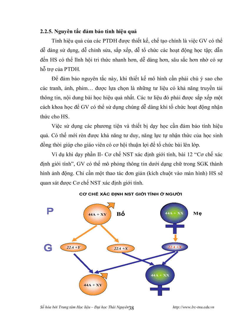 image for page Thiết kế và sử dụng mô hình động học Sinh lý học Thực vật Sinh học 11 bằng phần mềm MS Power Point