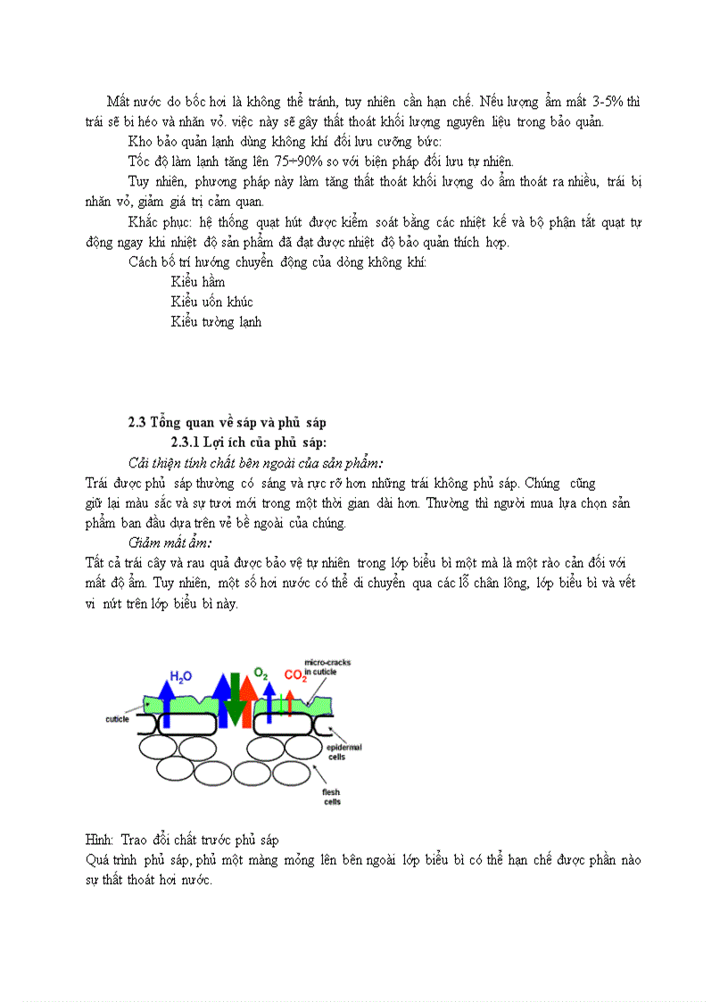 image for page Thiết kế phân xưởng xử lý và bảo quản lạnh dưa leo năng suất 25 tấn ngày kèm bản CAD full hoàn thành 06 201