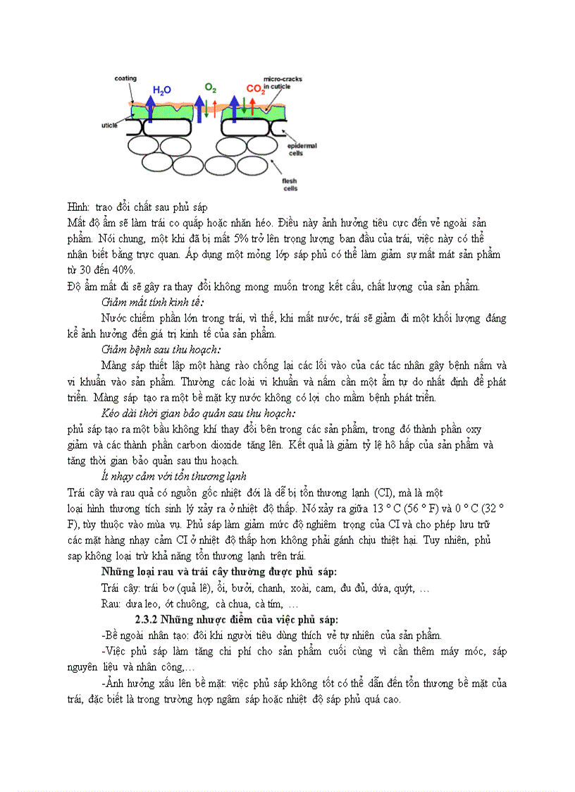 image for page Thiết kế phân xưởng xử lý và bảo quản lạnh dưa leo năng suất 25 tấn ngày kèm bản CAD full hoàn thành 06 201