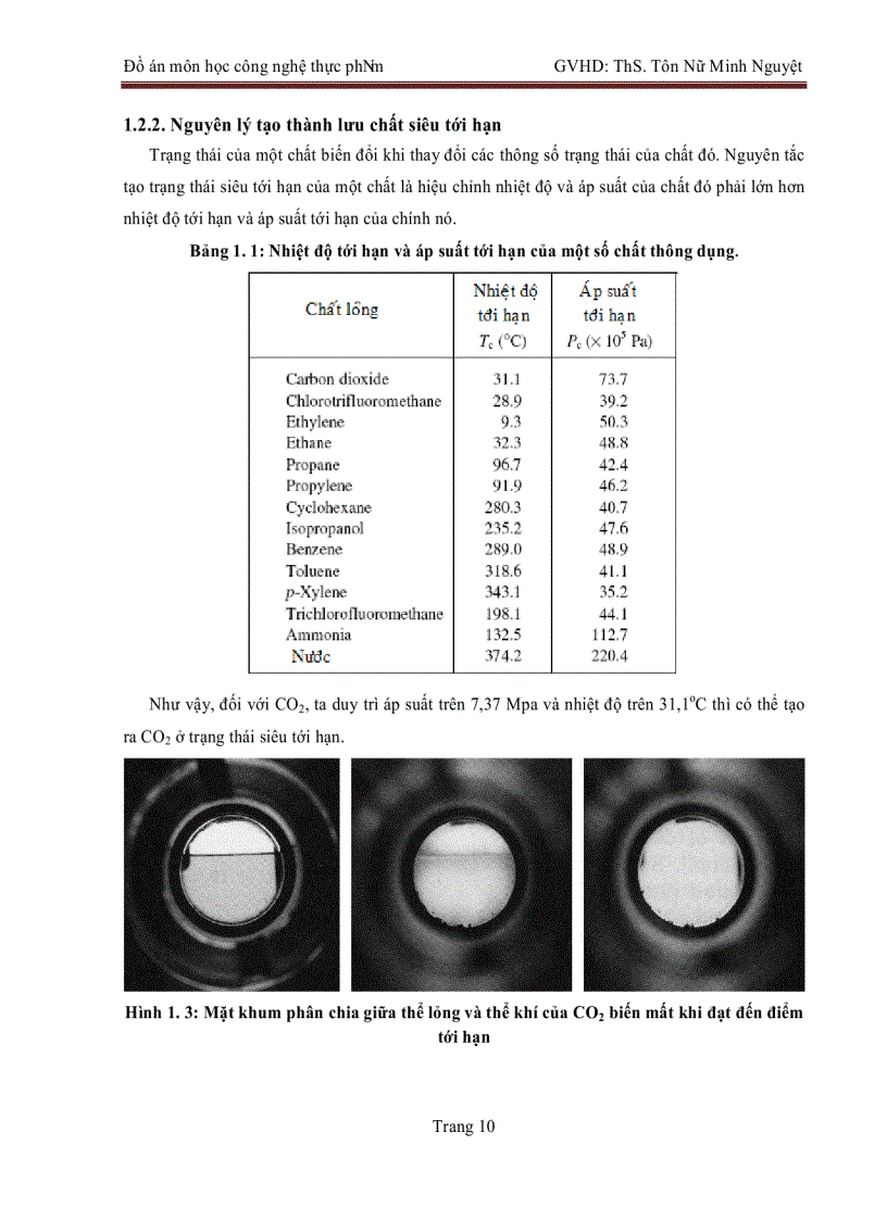 image for page Trích ly carotenoids từ thực vật bằng lưu chất siêu tới hạn hoàn thành 06 201