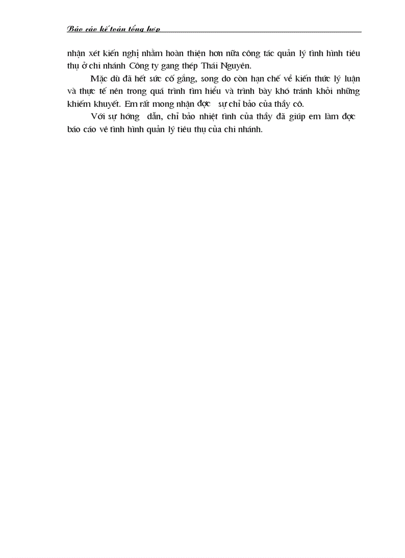 image for page Báo cáo kế toán tổng hợp tại Chi nhánh Công ty gang thép Thái Nguyên