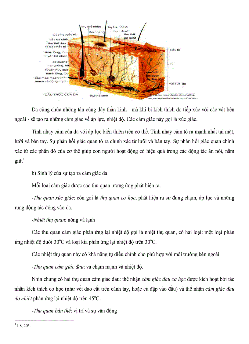 image for page So sánh một số khái niệm trong tâm lý học và duy thức học