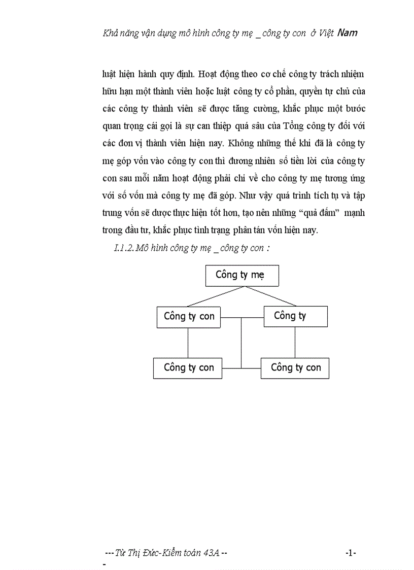 Khả năng vận dụng mô hình công ty mẹ công ty con ở Việt Nam