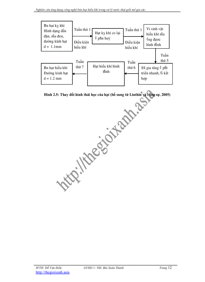 image for page Nghiên cứu ứng dụng công nghệ bùn hạt hiếu khí trong xử lý nước thải giết mổ gia súc
