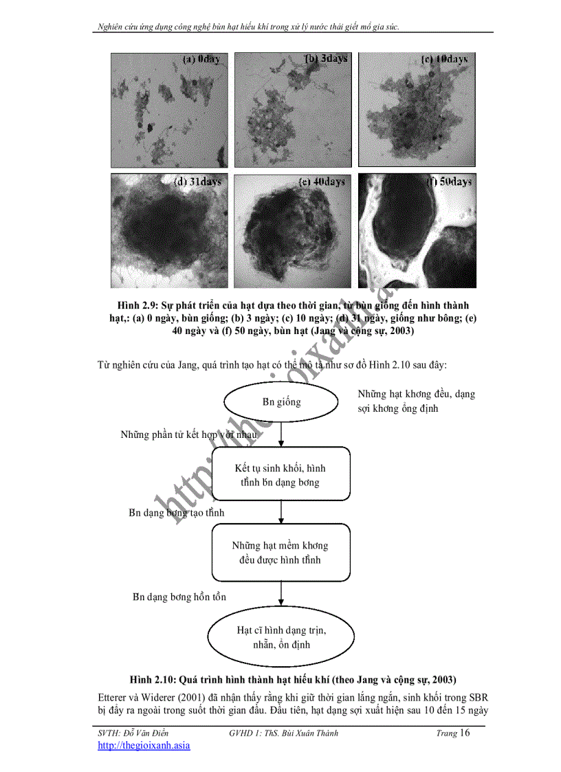 image for page Nghiên cứu ứng dụng công nghệ bùn hạt hiếu khí trong xử lý nước thải giết mổ gia súc