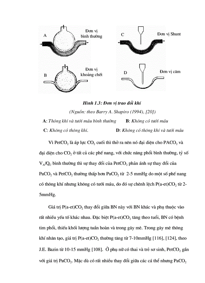 image for page Nghiên cứu điều chỉnh thông khí vỡ mối tương quan giữa PaCO2 vỡ PetCO2 trong mổ nội soi ổ bụng