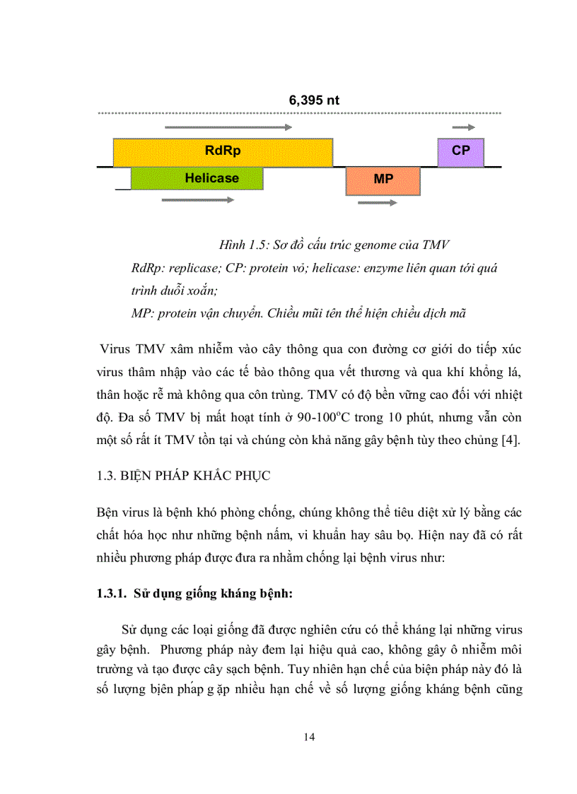 image for page Nghiên cứu quy trình chuyển gen vào giống thuốc lá C9 1 nhằm tạo cây thuốc lá chuyển gen kháng bệnh khảm lá