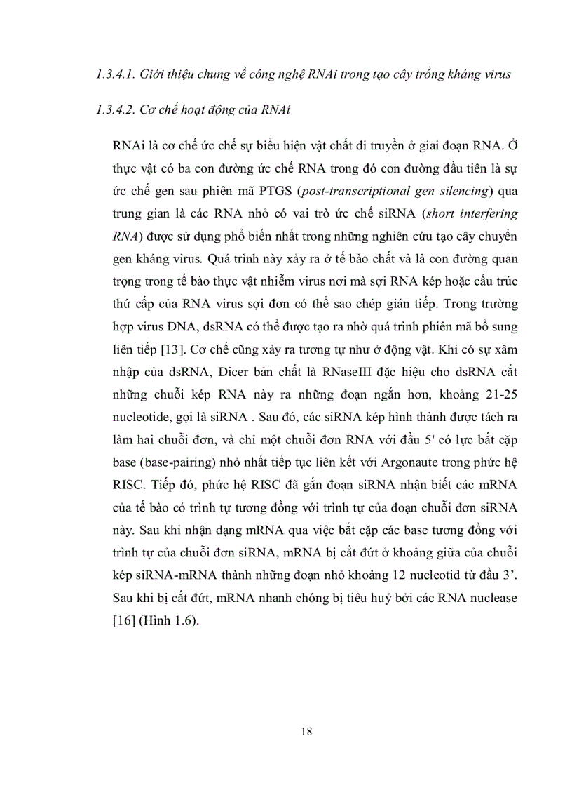 image for page Nghiên cứu quy trình chuyển gen vào giống thuốc lá C9 1 nhằm tạo cây thuốc lá chuyển gen kháng bệnh khảm lá