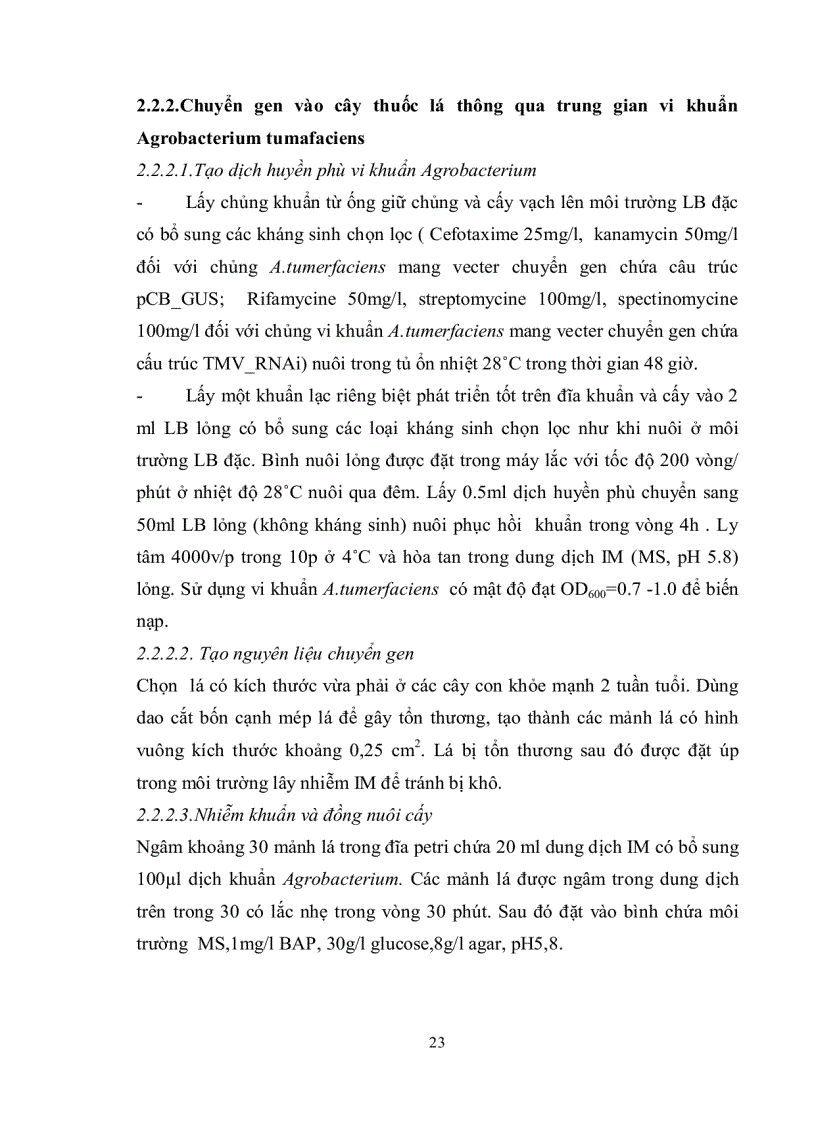 image for page Nghiên cứu quy trình chuyển gen vào giống thuốc lá C9 1 nhằm tạo cây thuốc lá chuyển gen kháng bệnh khảm lá