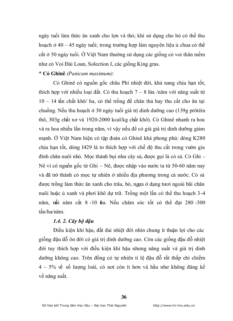 image for page Đánh giá khả năng thích nghi của một số loài cỏ trồng nhập nội trong qui trình thức ăn gia súc tại công ty giống bò sữa mộc châu