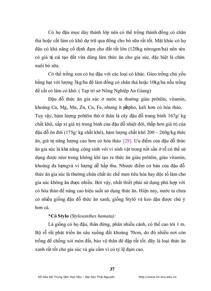 image for page Đánh giá khả năng thích nghi của một số loài cỏ trồng nhập nội trong qui trình thức ăn gia súc tại công ty giống bò sữa mộc châu
