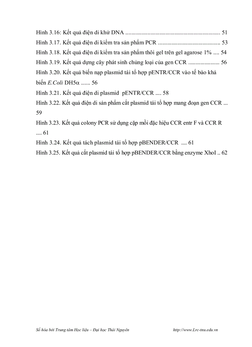 image for page Phân lập promoter của gen mã hóa cho enzyme cinnamyl alcohol dehydrogenase cad và thiết kế vector chuyển gen mang đoạn gen mã hóa cho enzyme cinnamo