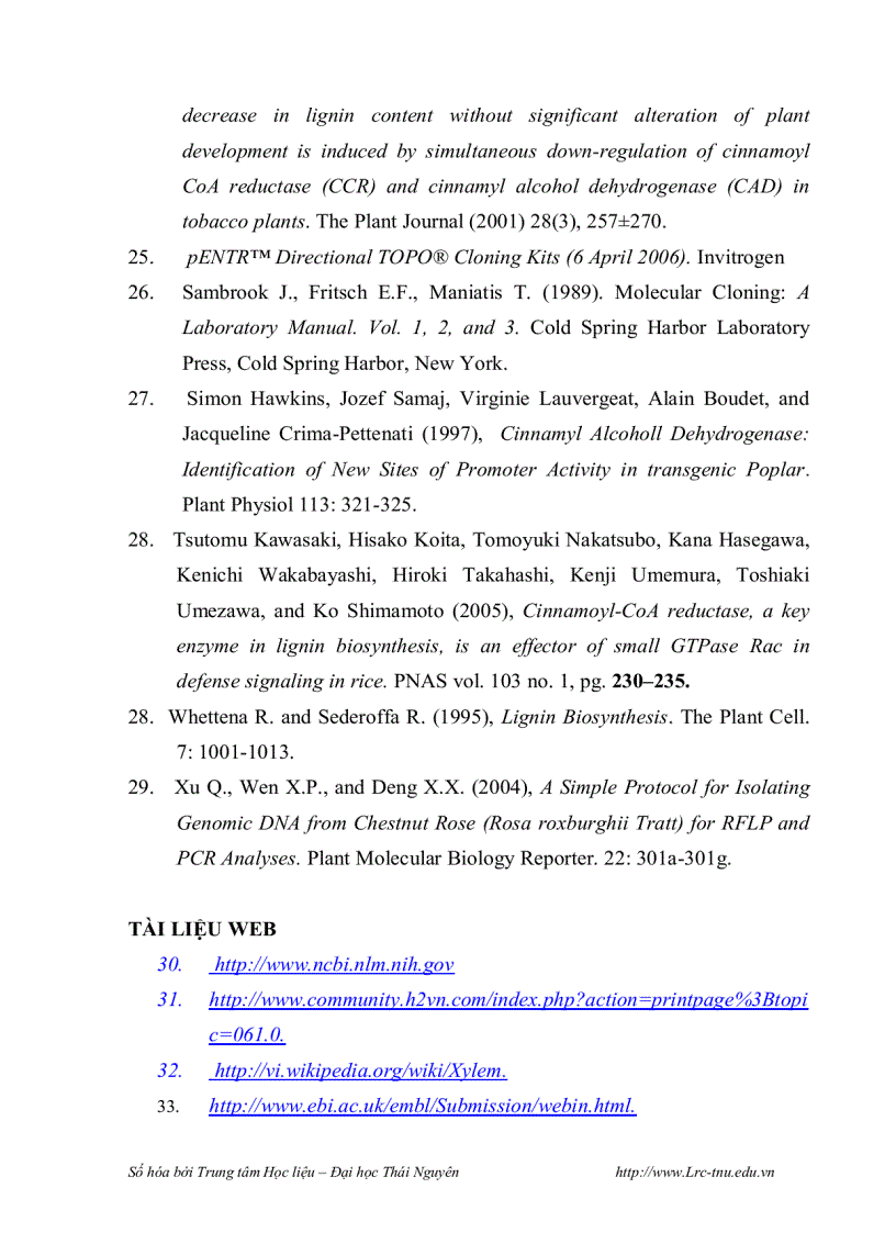 image for page Phân lập promoter của gen mã hóa cho enzyme cinnamyl alcohol dehydrogenase cad và thiết kế vector chuyển gen mang đoạn gen mã hóa cho enzyme cinnamo