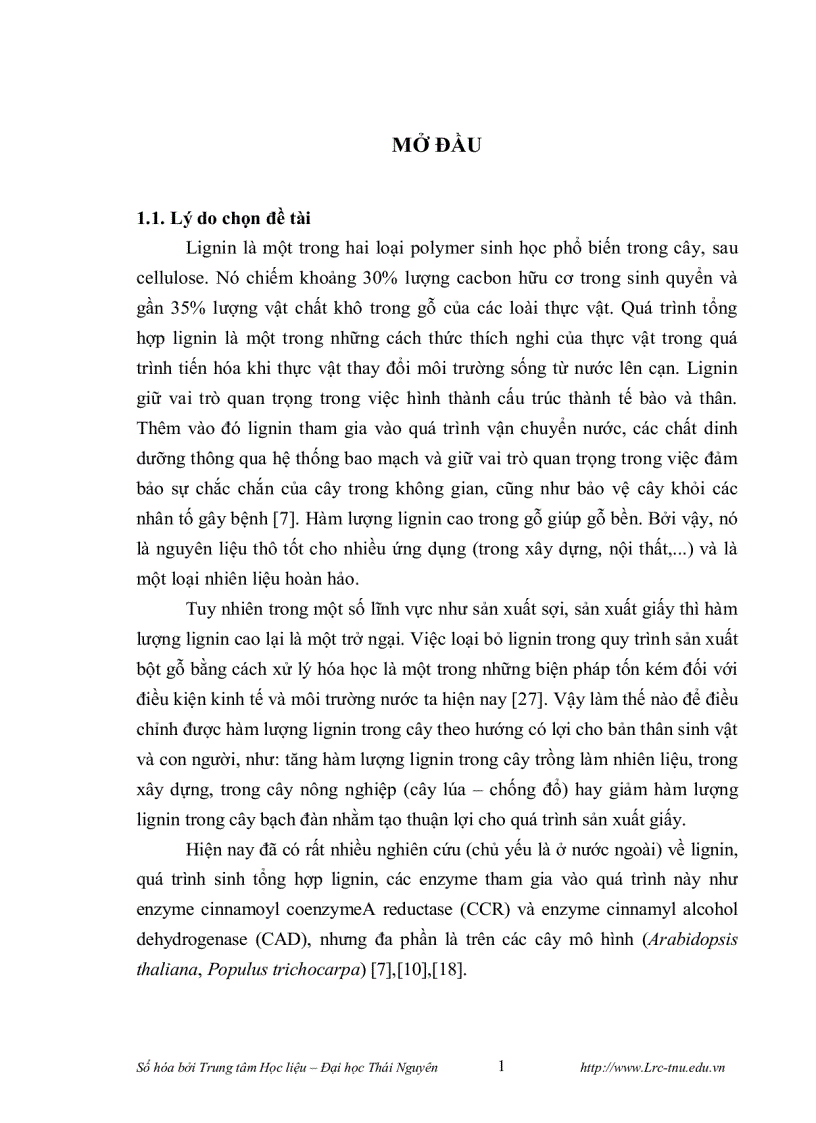 image for page Phân lập promoter của gen mã hóa cho enzyme cinnamyl alcohol dehydrogenase cad và thiết kế vector chuyển gen mang đoạn gen mã hóa cho enzyme cinnamo