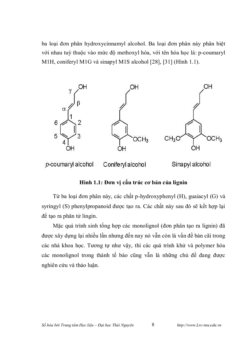 image for page Phân lập promoter của gen mã hóa cho enzyme cinnamyl alcohol dehydrogenase cad và thiết kế vector chuyển gen mang đoạn gen mã hóa cho enzyme cinnamo