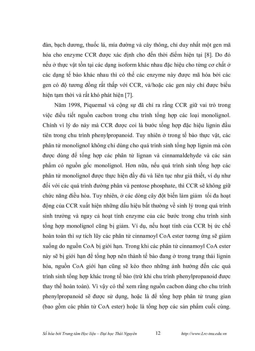 image for page Phân lập promoter của gen mã hóa cho enzyme cinnamyl alcohol dehydrogenase cad và thiết kế vector chuyển gen mang đoạn gen mã hóa cho enzyme cinnamo