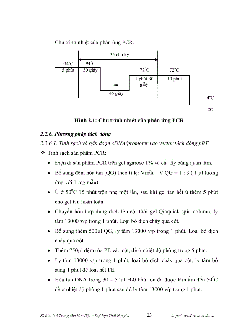 image for page Phân lập promoter của gen mã hóa cho enzyme cinnamyl alcohol dehydrogenase cad và thiết kế vector chuyển gen mang đoạn gen mã hóa cho enzyme cinnamo