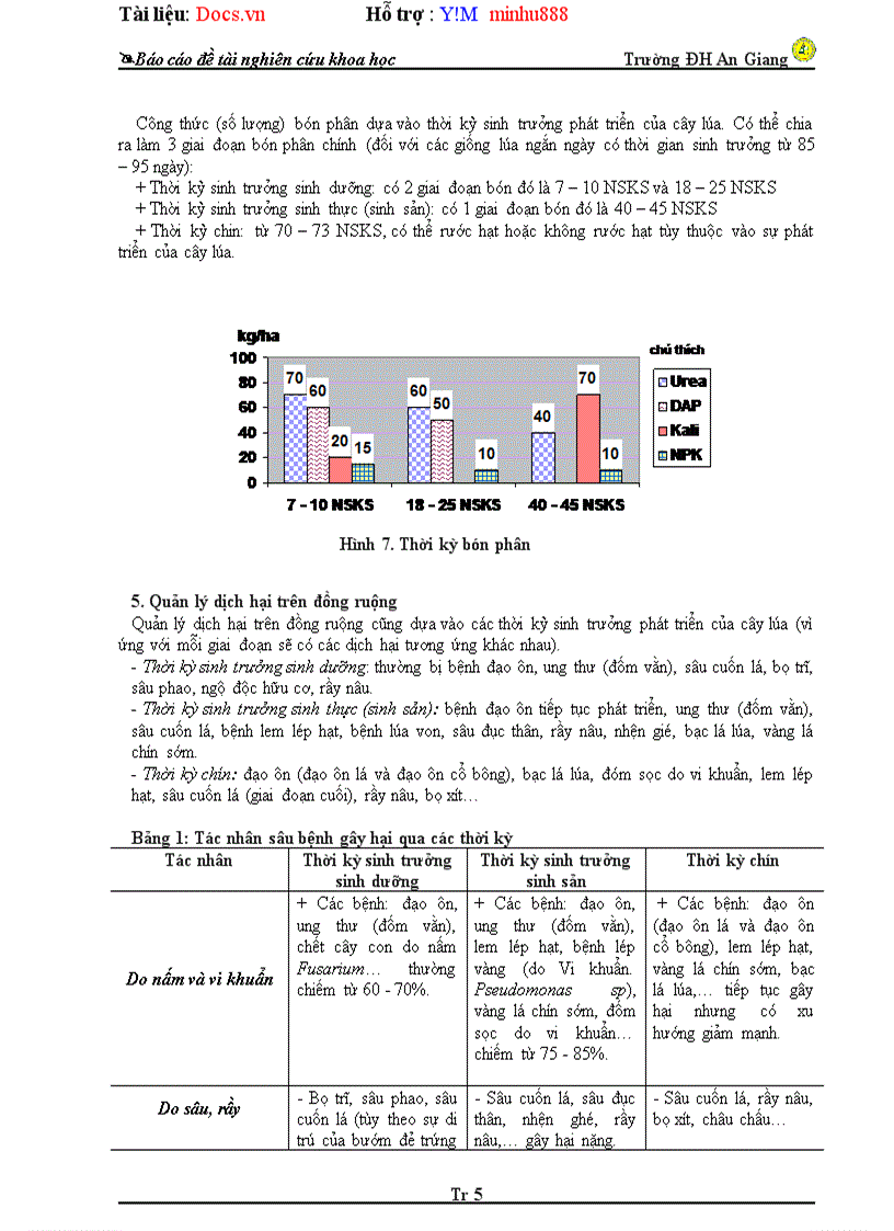 image for page Điều tra quá trình canh tác lúa đông xuân 2009 2010 tại Mỹ hội đông chợ Mới An Giang