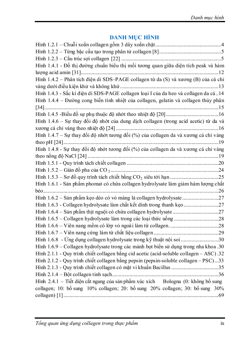 image for page Tìm hiểu về Ứng dụng collagen trong thực phẩm