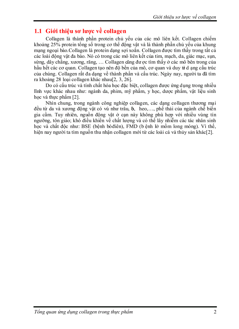 image for page Tìm hiểu về Ứng dụng collagen trong thực phẩm