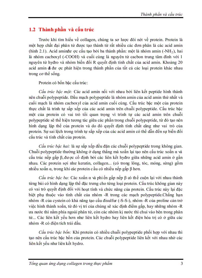 image for page Tìm hiểu về Ứng dụng collagen trong thực phẩm