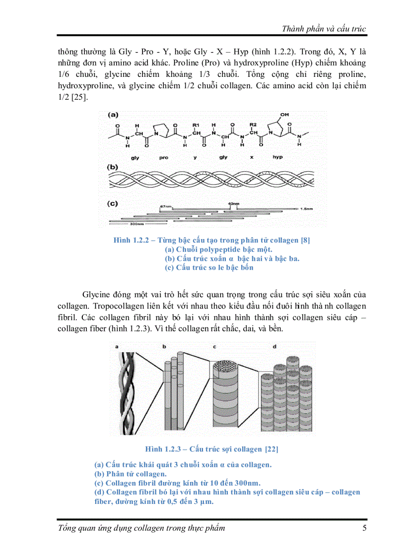 image for page Tìm hiểu về Ứng dụng collagen trong thực phẩm